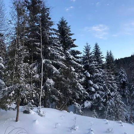 Belvedere-Karpaty Skhidnytsia المظهر الخارجي الصورة