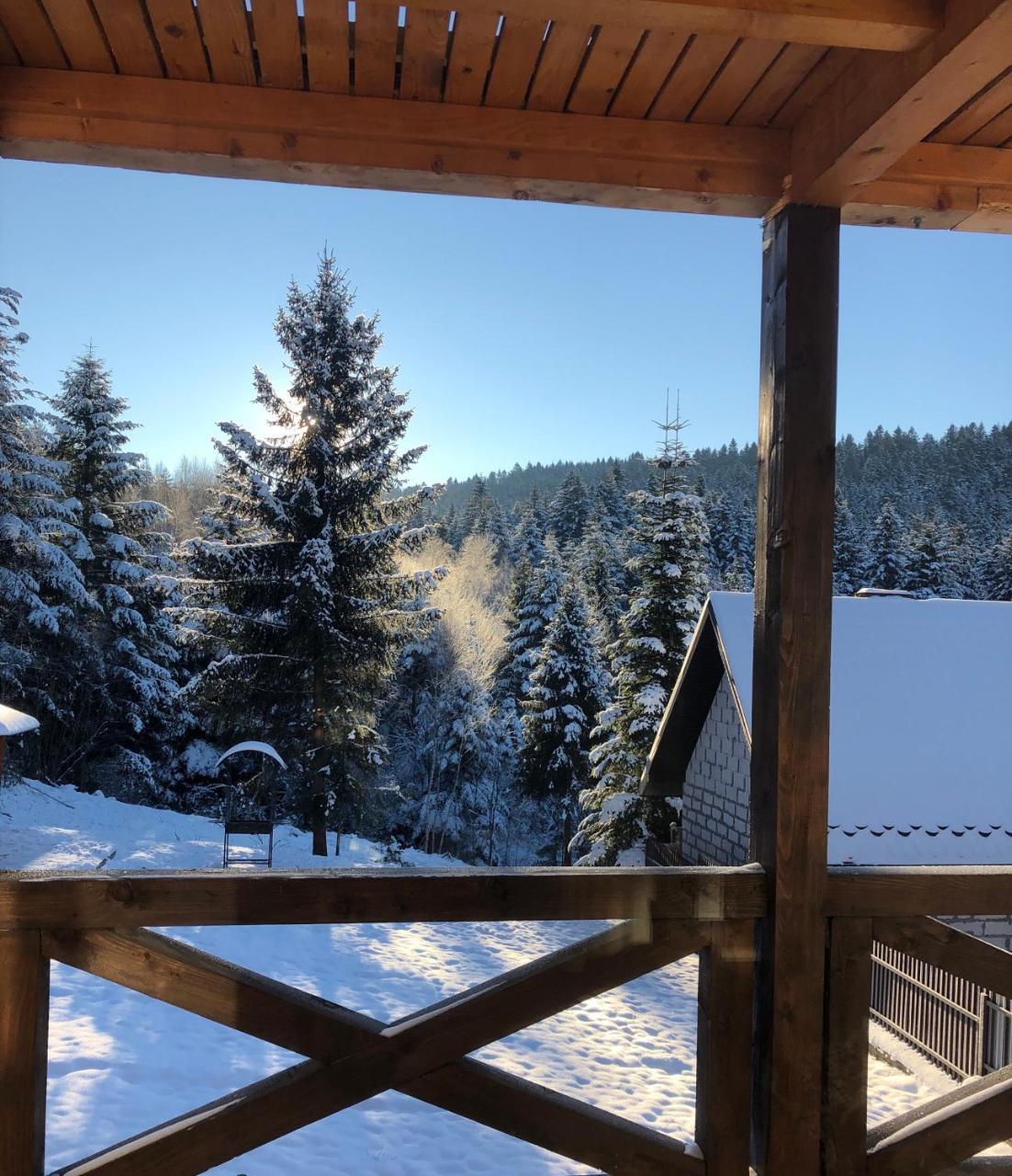 Belvedere-karpaty Skhidnytsia