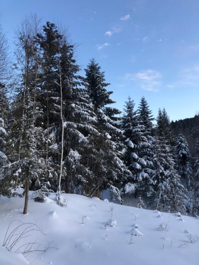 Belvedere-karpaty